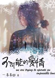 不可能的爱情怎么描述